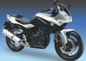 2008 Azel GS 250 photo